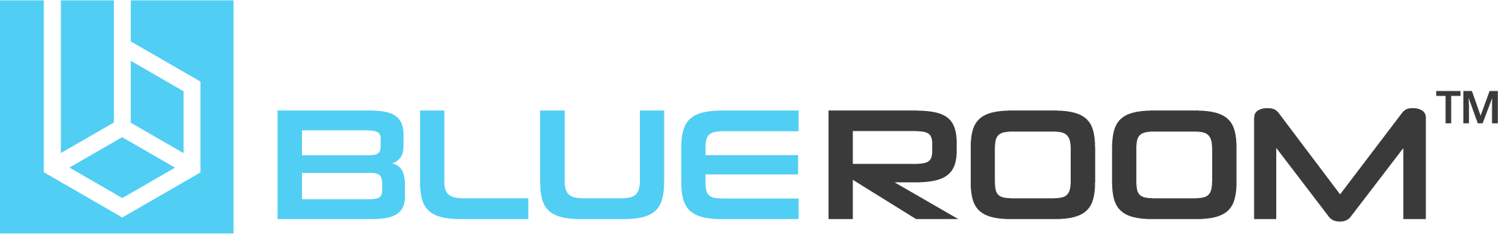 BlueRoom Simulations